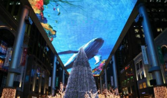 常見(jiàn)的天幕投影種類